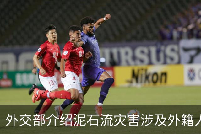 外交部介绍泥石流灾害涉及外籍人员情况：有游客也有香客